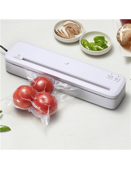 Commercial Vacuum Sealing Machine Seal width 300mm | DA-GN1088