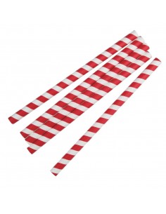 Fiesta Green Biodegradable Paper Straws Red Stripes 2