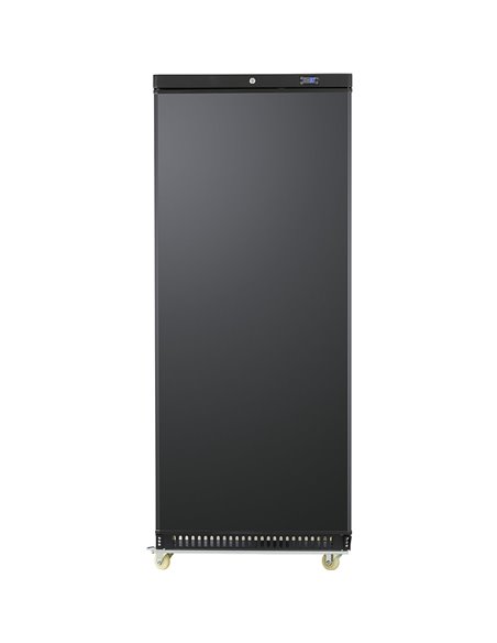 600lt Commercial Freezer Upright cabinet Black Single door | Stalwart DA-DWF600BC