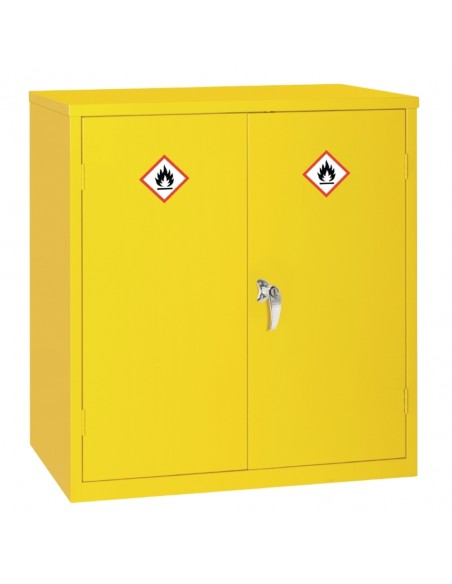 Hazardous Double Door Cabinet 30Ltr
