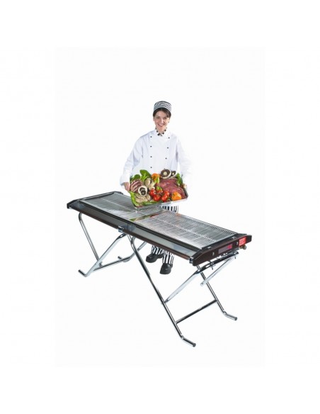 Cinders Lightweight Propane Gas Barbecue Caterer