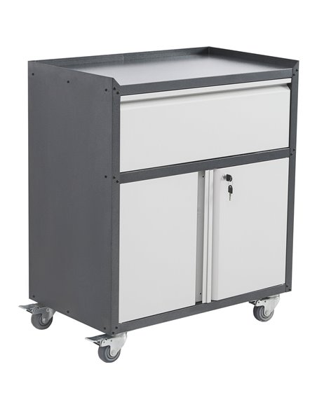 Commercial Storage Cabinet with wheels 2 Door 1 Drawer Grey Steel 770x460x900mm | Stalwart DA-DL2