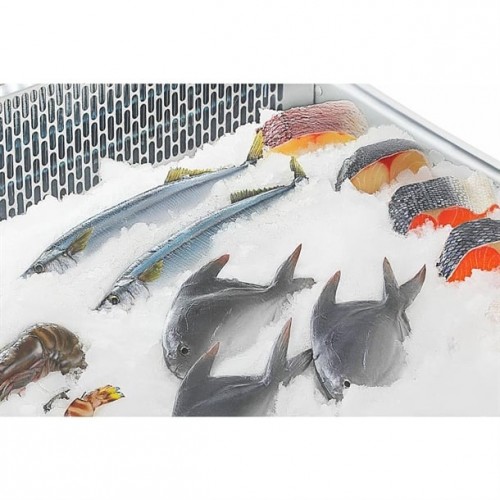 Polar G-Series Fish Display Serve...