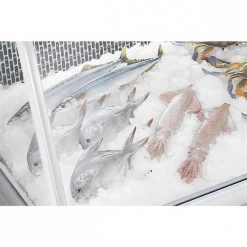 Polar G-Series Fish Display Serve...