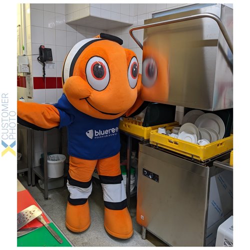 Passthrough Dishwasher Premium 500mm basket 48 baskets/hour Drain pump Detergent dosing pump 230V | Stalwart DA-ADX10M