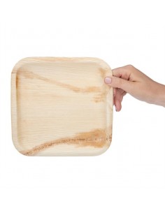 Fiesta Compostable Palm... 2