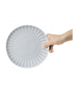 Olympia Corallite Plates... 2