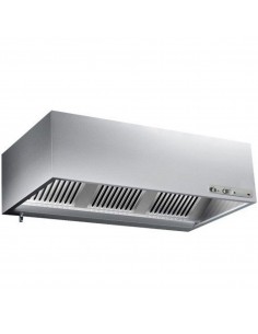 Wall type Extraction canopy...