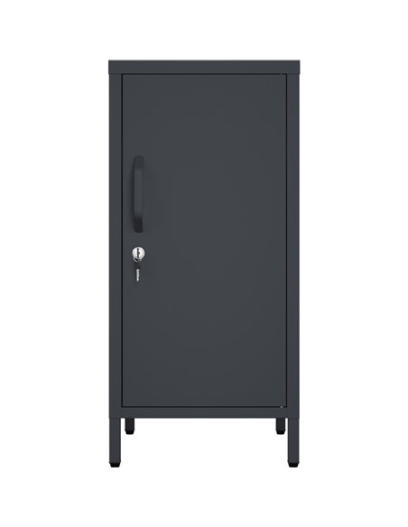 Professional Metal Storage Cabinet Single Door 400x380x1000mm 2 adjustable shelves Black | Stalwart DA-MXHSC001BLACK