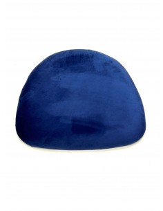 Blue Seat Pads for our... 2