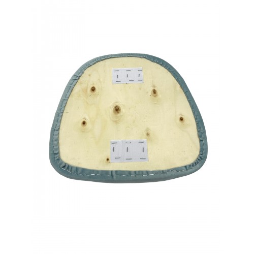Light Blue Seat Pad for our Chiavari...
