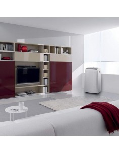 DeLonghi Pinguino Portable Air Conditioner Unit Eco PAC N82 2