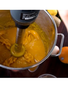 Pro Stick Blender 505mm Shaft / Hand mixer 650W | Stalwart 8,000–18,000 rpm 2