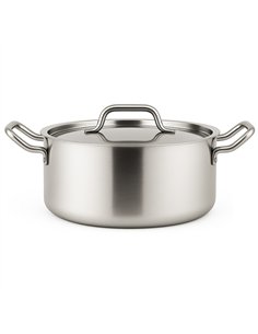 Professional Stainless 3.6L Steel Stew Pot 240mm| Stalwart DA-JJD6214