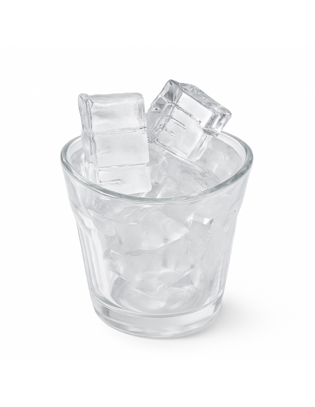 Modular Commercial Cube Ice Maker 240kgs/24h capacity with 170kg Storage Bin| Stalwart DA-IM530AAHHC