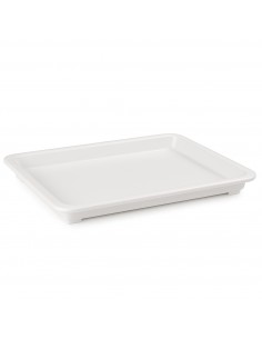 Pizza Dough Box 450×320×40m Polypropylene Dough Storage Container | Stalwart DA-QHW212 2