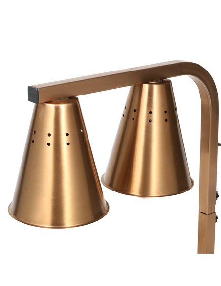 Commercial Food Warmer GN1/2 – 2 Heating Lamps 430×560×305 mm 500W Gold| Stalwart DA-EWL03G2