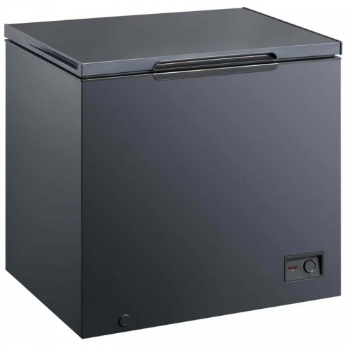 Commercial Chest Freezer with Single...