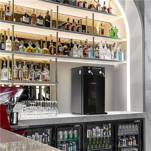 Refrigerated Wine Dispenser - Single Zone - 2 Bottle