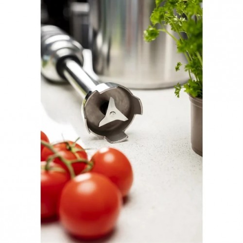 AGRADE-Buffalo Variable Speed Stick...
