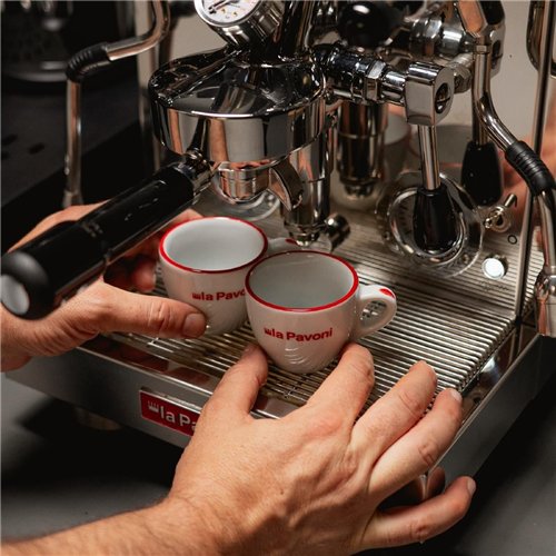 La Pavoni Botticelli Speciality Dual Boiler PID Semi-Professional Coffee Machine