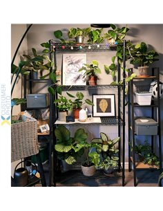 Commercial Shelving Unit 4 Tier 1000kg Width 900mm Depth 350mm Black Wire | Stalwart DA-EB9035180A4C 2