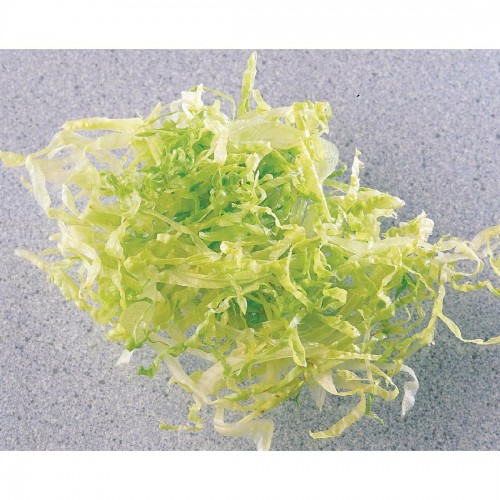 Robot Coupe 2mm Slicer Disc for CL40 R201 R211 R301 R401 R402