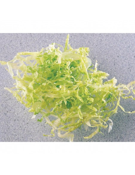 Robot Coupe 2mm Slicer Disc for CL40 R201 R211 R301 R401 R402