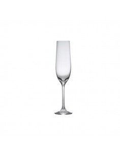 Gusto Champagne Flute 19cl/6.75oz - Pack of 6