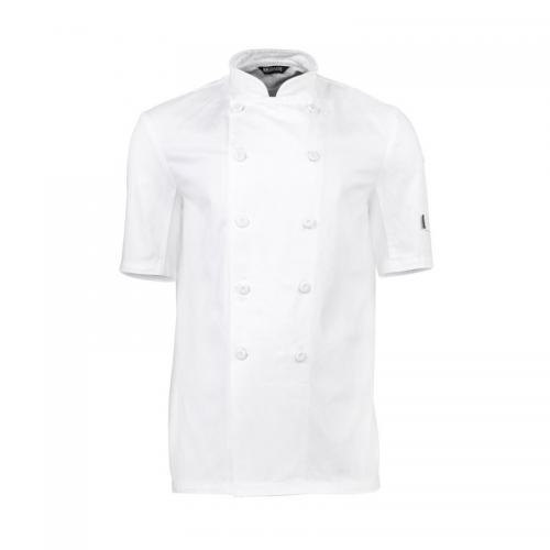 Brigade Chef Satin Cotton Jacket Short