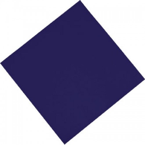 Fasana Professional Tissue Napkin Blue 330mm