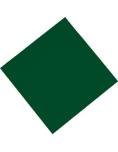 Fasana Professional Tissue Napkin Green 330mm
