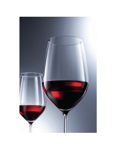 Schott Zwiesel Vina Red Wine Glasses 404ml 2