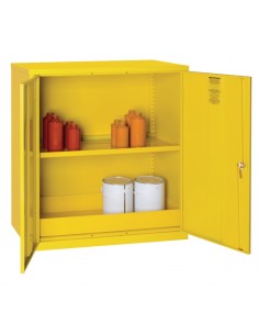 Hazardous Double Door Cabinet 30Ltr 2