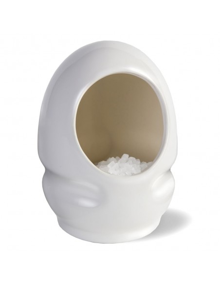 Cole & Mason White Ceramic Salt Keeper