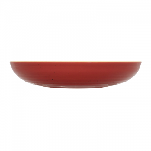 Artisan Ember Coupe Bowl 25cm / 9.8 in (Pack of 6)