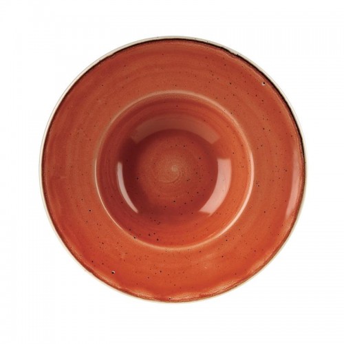 Churchill Super Vitrified Stonecast Spiced Orange Wide Rim Bowl 239mm