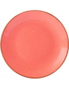 Coral Coupe Plate 24cm / 9 1/2" - Pack of 6