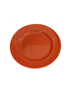 Plate Broad Rim Orange 24cm Polycarbonate