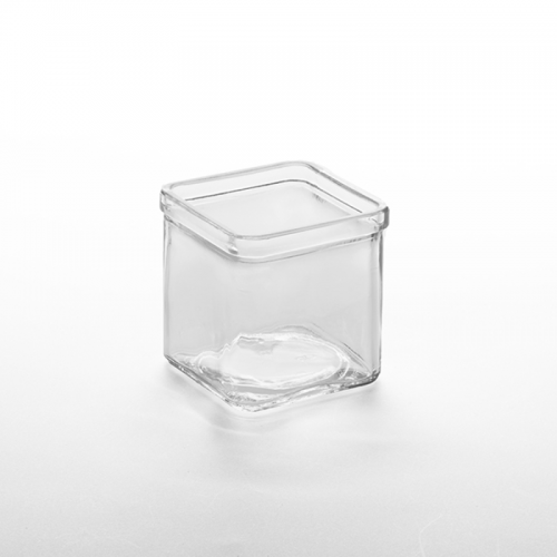 Square Glass Jar 8oz (Pack of 12)