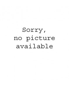 Panasonic 1000W Commercial  Microwave Oven NE1037 2