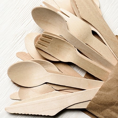 Disposable Cutlery and Skewers